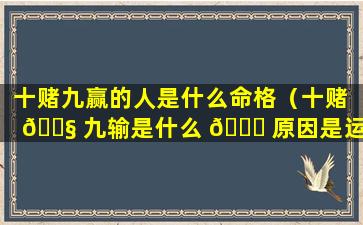 十赌九赢的人是什么命格（十赌 🐧 九输是什么 🐕 原因是运气不好嘛）